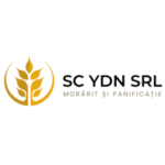 design-fr-titlu-2-6100142910 copy